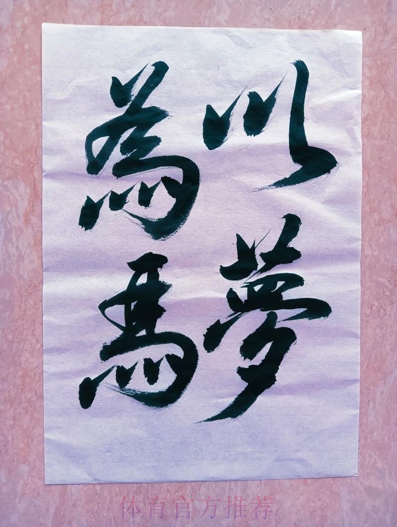 以梦为马 杆杆生花